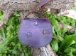 Petit sac escarcelle violet "féerique" fleur